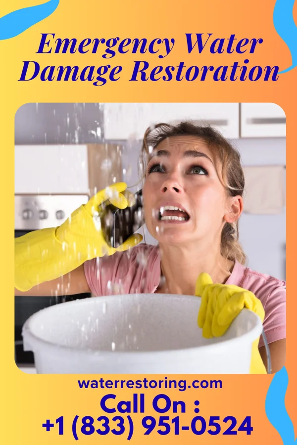 Emergency Water Damage Restoration in Point, TX